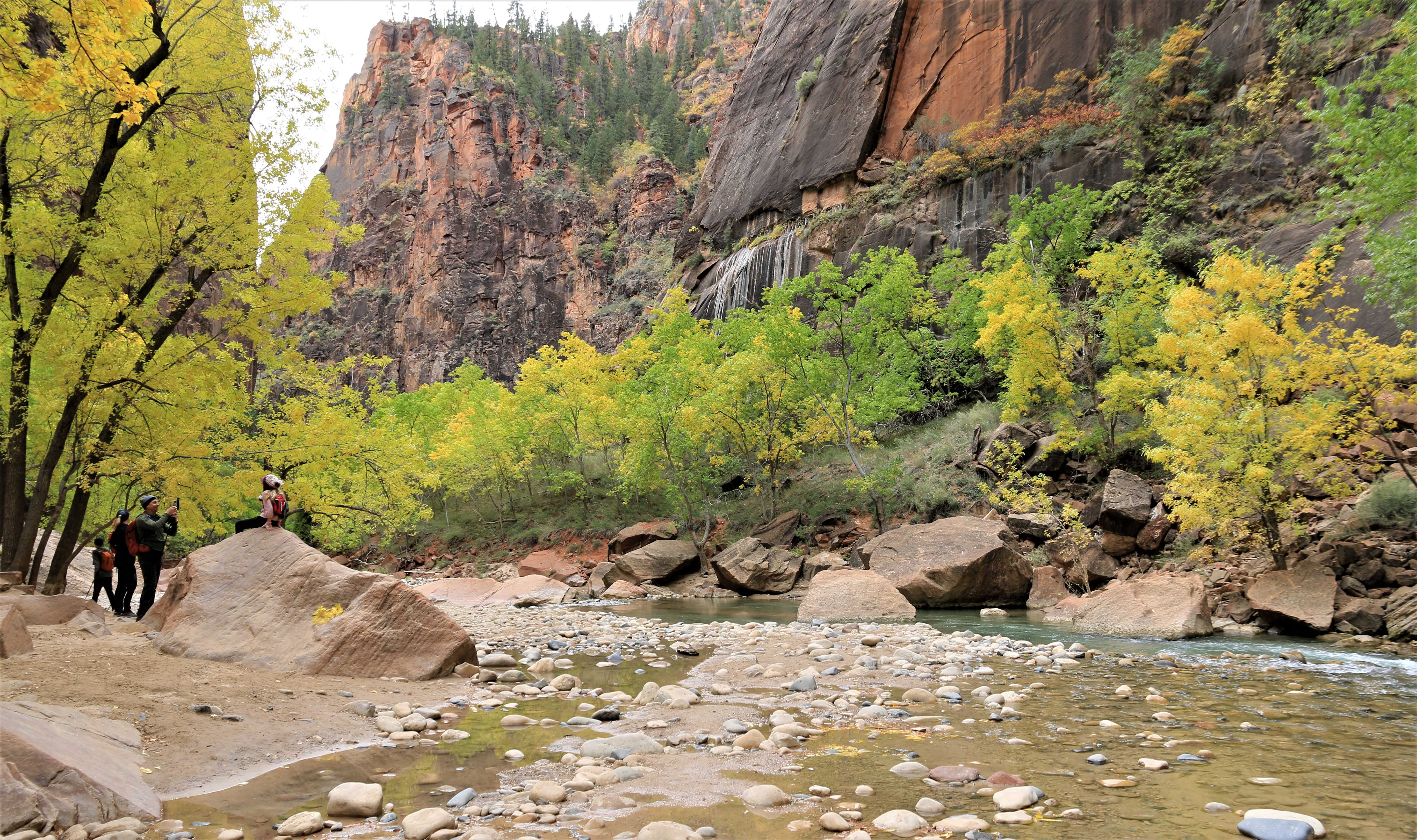 Zion NP
